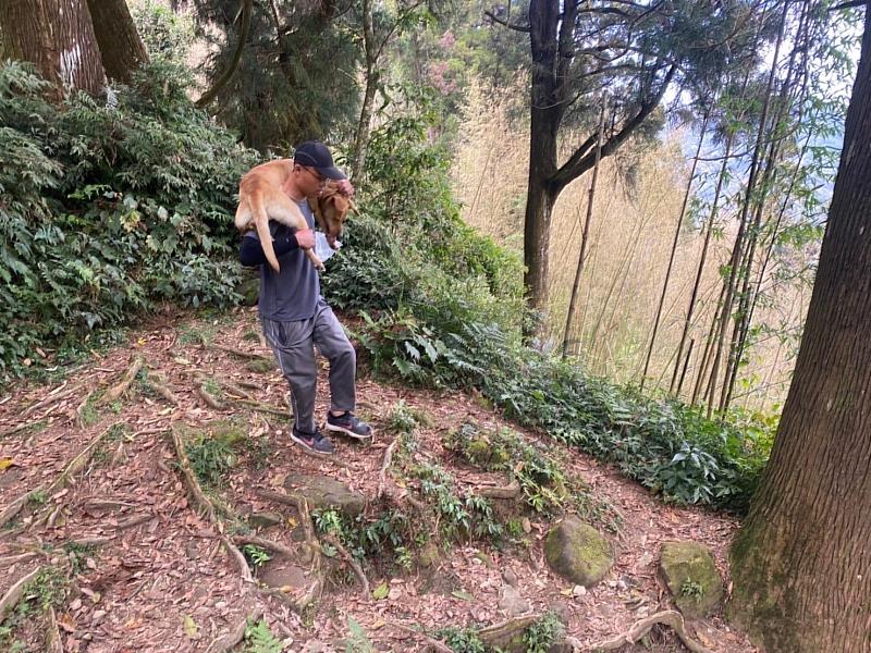 動保隊大凍山救援揹狗2小時下山，乖巧浪犬大黃盼愛心認養