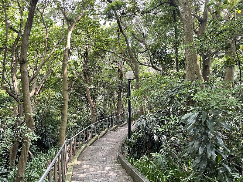 公園內樹木林立，民眾可以享受生機盎然的休憩體驗