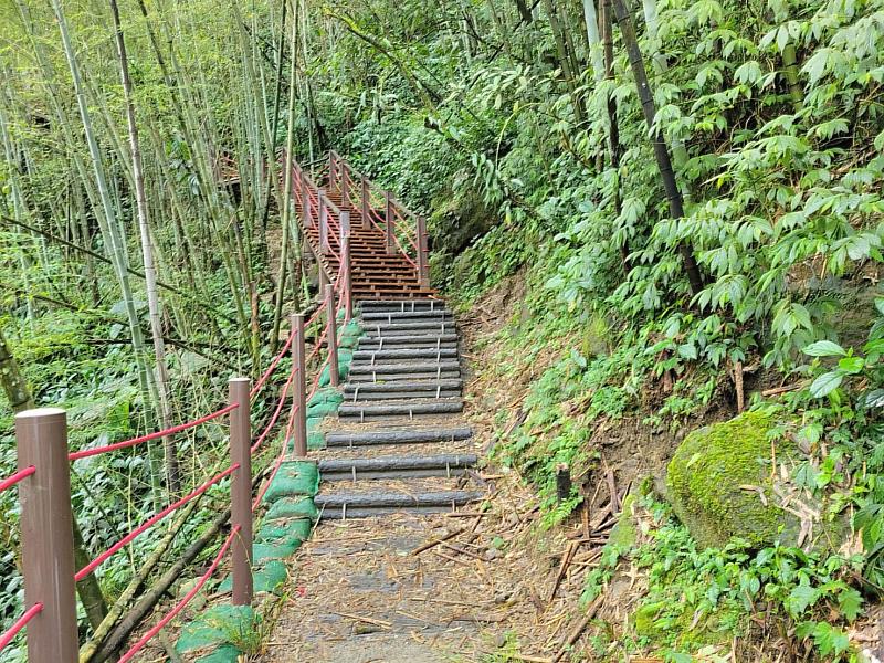 端午粽子吃多不用怕 嘉義「腹圓者聯盟步道」助甩肉！IG打卡萬元獎金等你拿