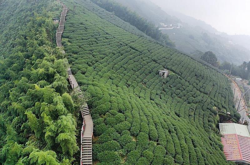 端午粽子吃多不用怕 嘉義「腹圓者聯盟步道」助甩肉！IG打卡萬元獎金等你拿