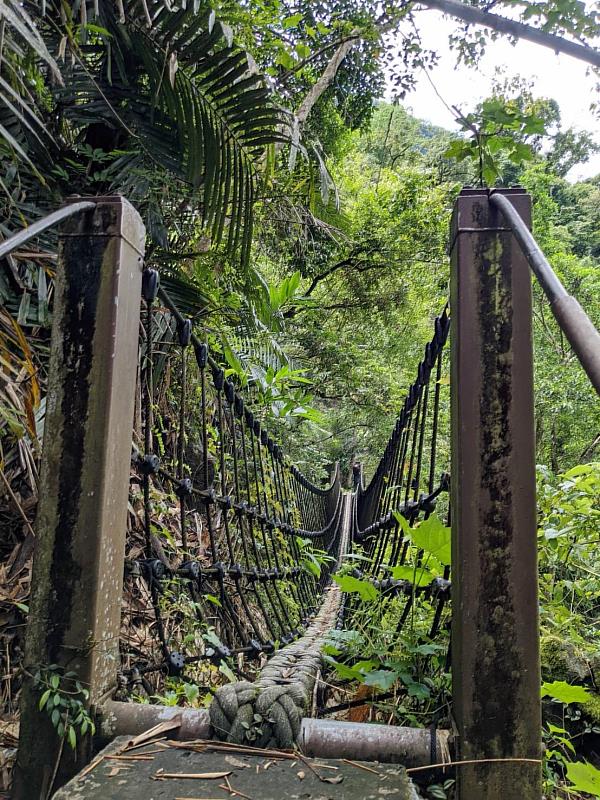 全台僅此一家！米其林級嘉義鄒族水上夢幻餐廳