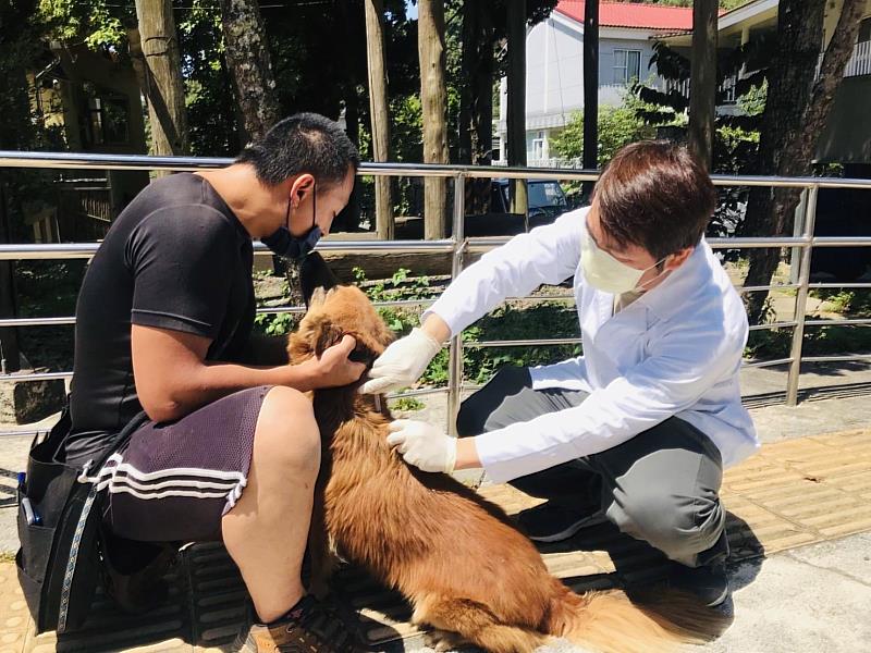 阿里山山區12部落完成狂犬病預防注射