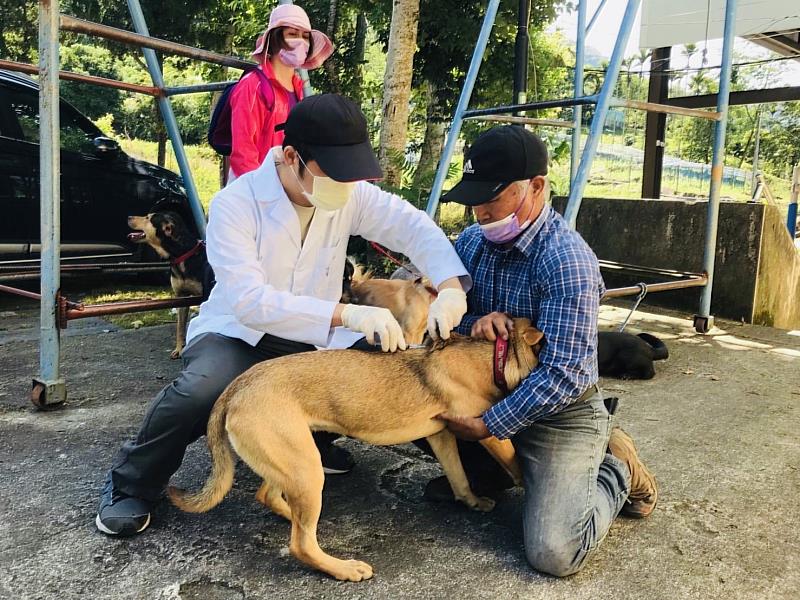 阿里山山區12部落完成狂犬病預防注射