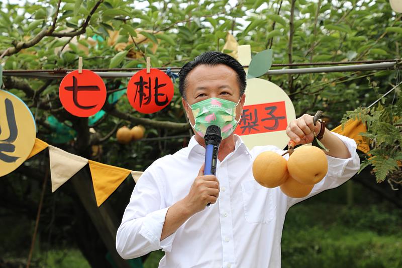 竹崎鄉玉觀音高接梨上市囉