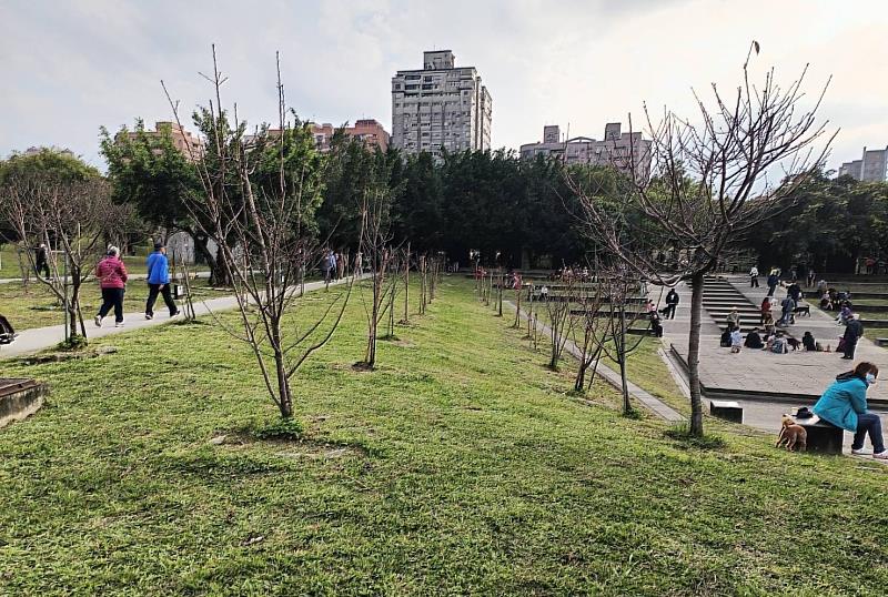 中和公園韌性都市林示範試驗區，種植台灣原生種植物，增加都市內綠覆率，創造生物多樣性與改良土壤質地，更可緩解都市熱島效應