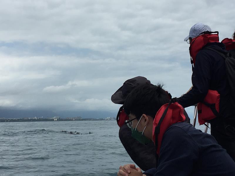東華大學社會學系環境社會學課程出海觀察花蓮海岸地形巧遇飛旋海豚。