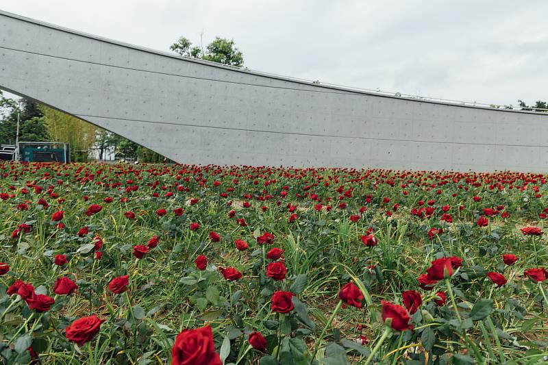 現場布置1萬4千朵玫瑰花向英靈致敬