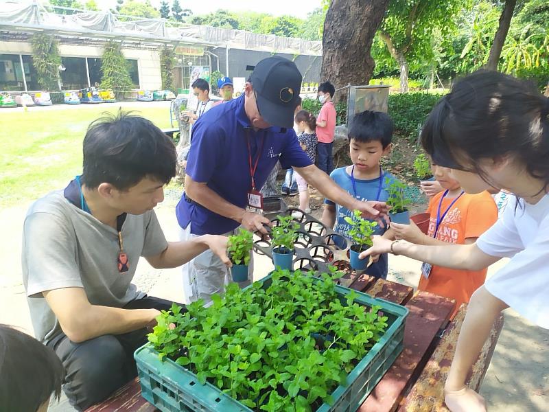 小朋友暑假活動難抉擇? 土城運動中心夏令營全都有!