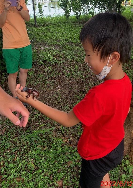 嘉義縣大林明華濕地生態園區生態豐富 迎來獨角仙繁殖季