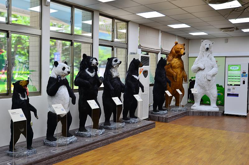 世界八大熊類1:1身高比例模型