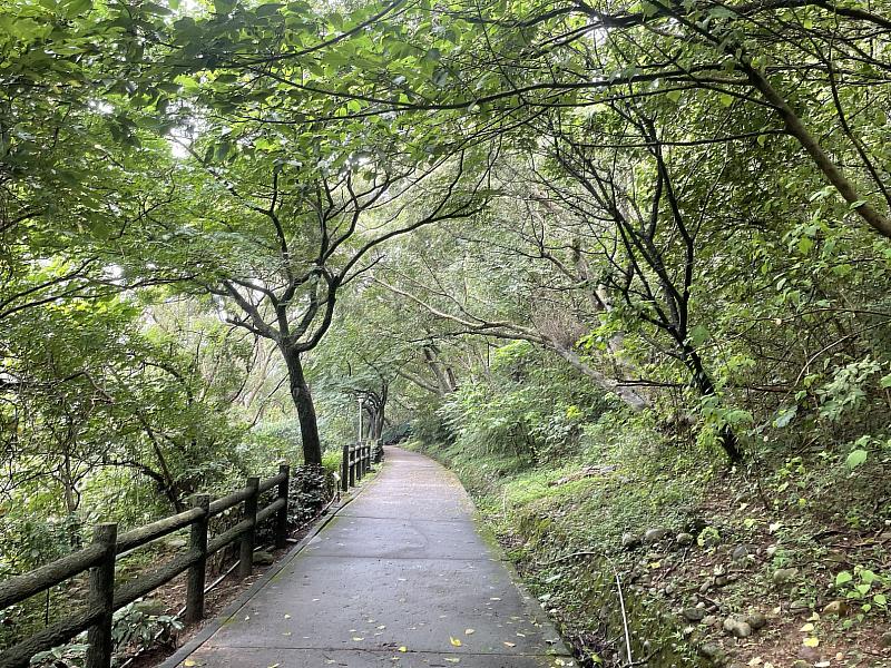 城市覓徑-五股水碓觀景公園內綠意盎然的森林步道