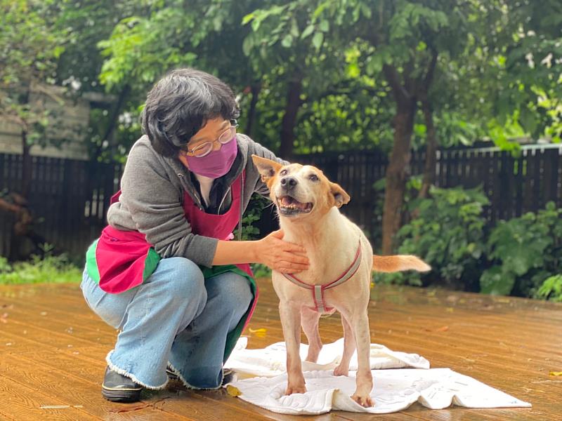 「黃圓圓」十分親人，與志工相處融洽，喜歡跟人撒嬌。