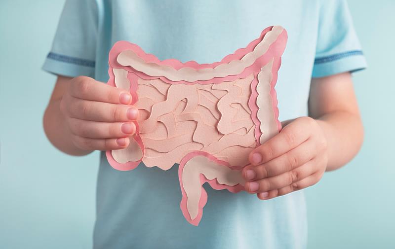 益生菌產生的短鏈脂肪酸可幫助維持腸道粘膜健康，減少病菌入侵