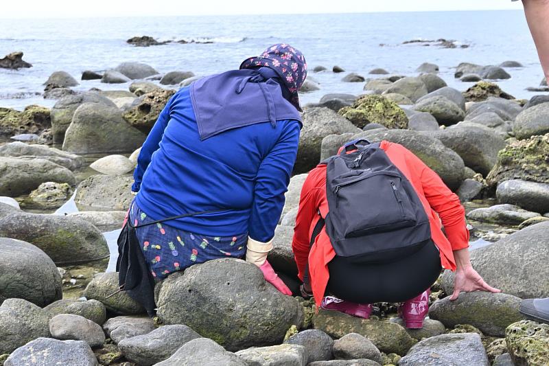 結合藝術與文化的退潮之禮夏令營 今起一連三天忠孝國小登場 饒慶鈴邀您共創新海洋樣貌