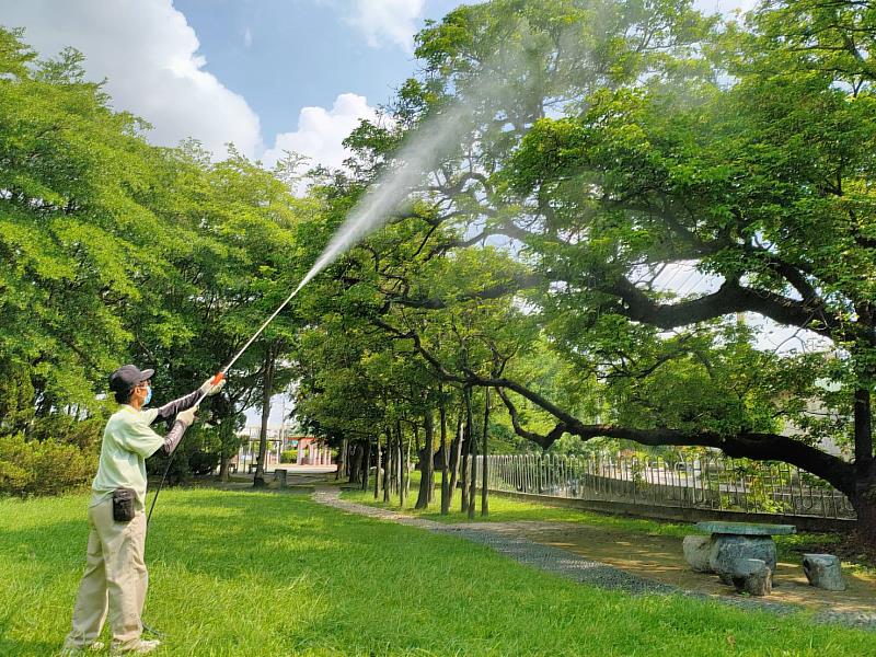 鄭成功紀念公園茄苳老樹蟲害清理(頂新和德文教基金會提供)