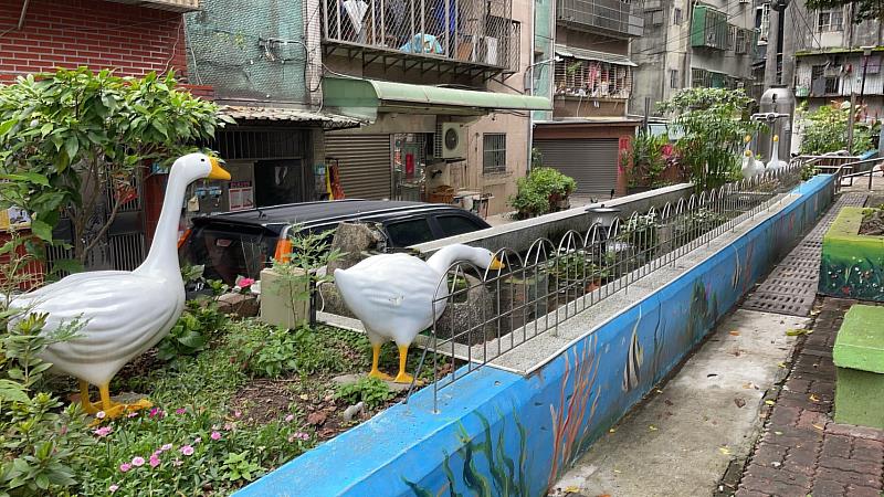 文程廣場-水池旁的大白鵝栩栩如生