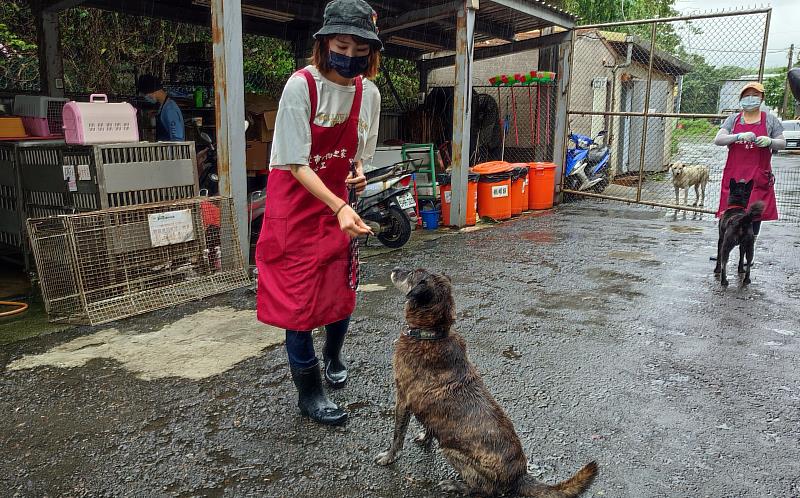 身為專業動物看護師天職熱忱，她無私無悔挺身加入志工奉獻所學技能盡一份棉薄之力。