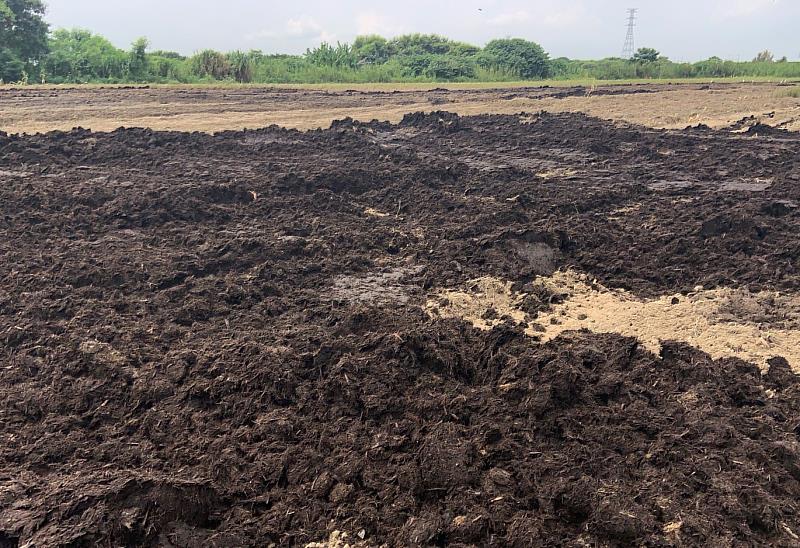 施用半熟成有機肥料造成惡臭 開罰