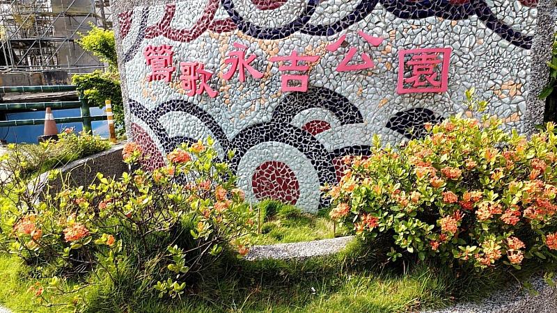 鶯歌永吉公園-入口處開著橘紅色花朵的矮仙丹