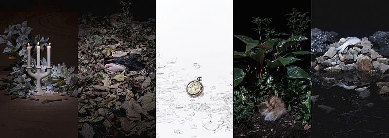 張暉明，《碎片系列》，2012，單頻道錄像5件，2分，藝術銀行典藏。