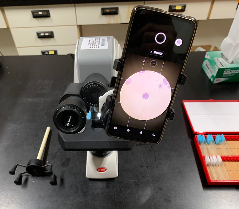 元培徐治平老師研發的「顯微鏡手機支架」可以固定在顯微鏡上，清晰拍攝顯微鏡下的世界