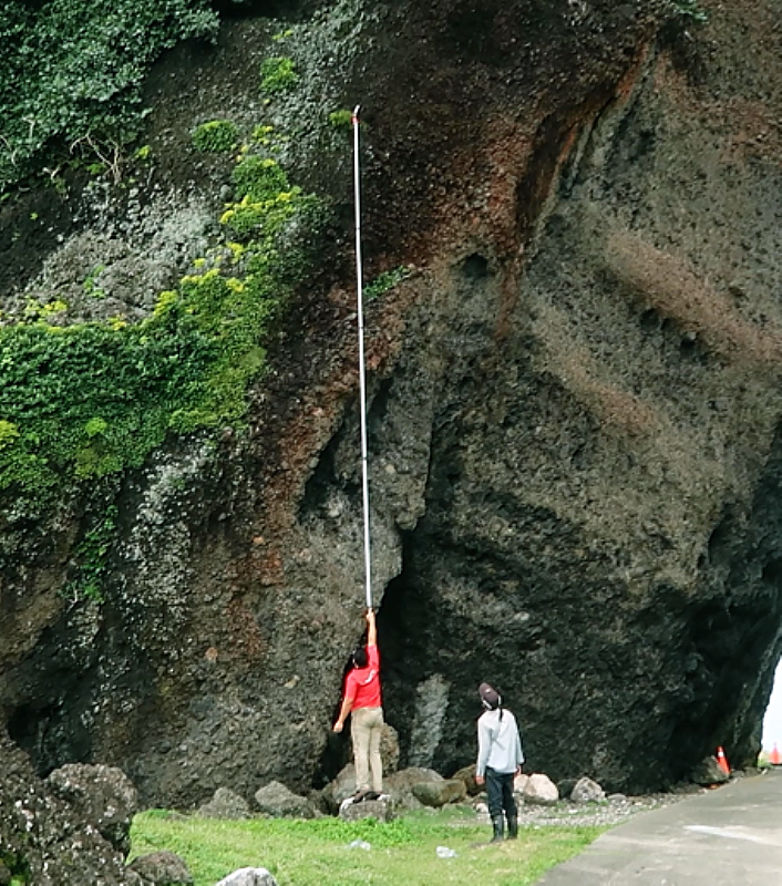 保種中心與台電合作進行復育，深入天池等森林步道、懸崖峭壁，採集原生蘭花的種子。