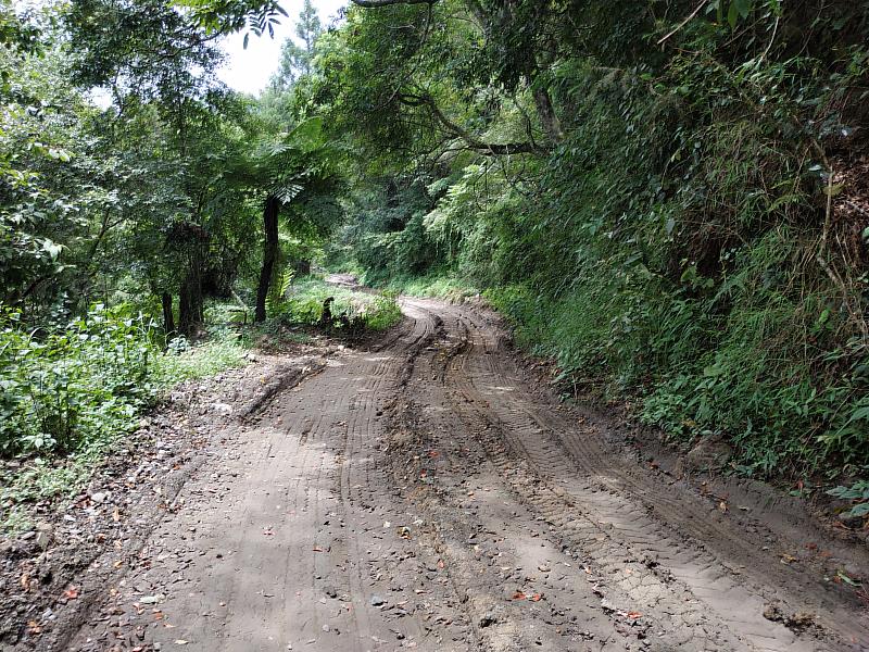 美瓏山林道施工1