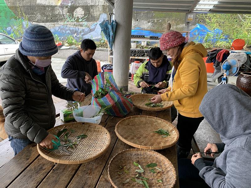 林業奧斯卡獎 張慧芬獲自然保育有功人士殊榮 | 中央社訊息平台
