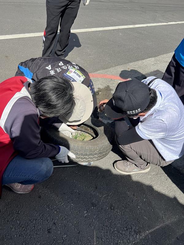 防治登革熱清理孳生源5