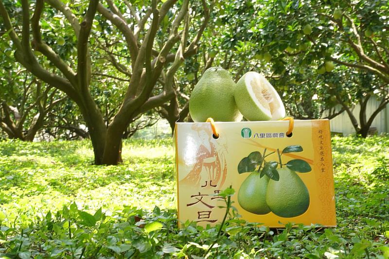 凡電商平台「小農電舖直銷站」購買文旦柚，享有買1箱即免運、消費滿千贈百及滿萬送心型柚禮盒