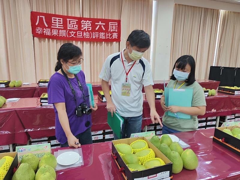 八里區農會於今(31)日辦理八里區「第31屆文旦柚」及「第6屆幸福果饌」評鑑比賽