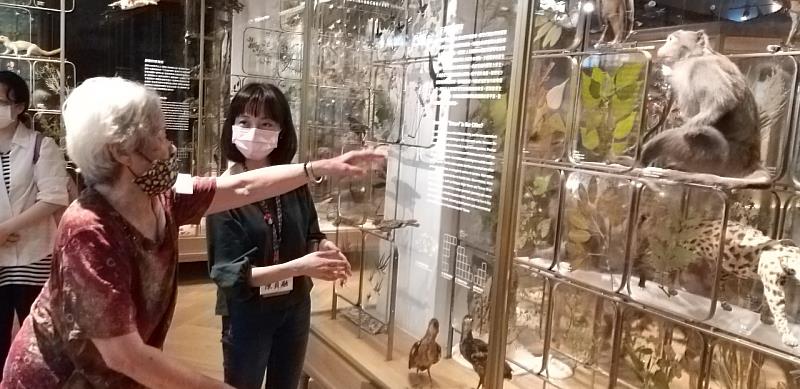 長者參觀活動重視民眾、環境、藏品及彼此之互動關係