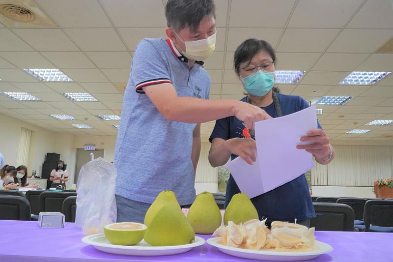 評審一致認為今年新北市文旦柚生長狀況良好，陽光充足，果肉富彈性，柚香濃郁