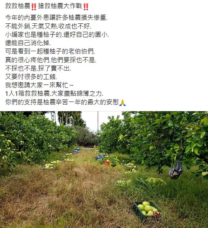 李宜庭在社交媒體上疾呼搶救柚農，引起大車隊營運單位關注。