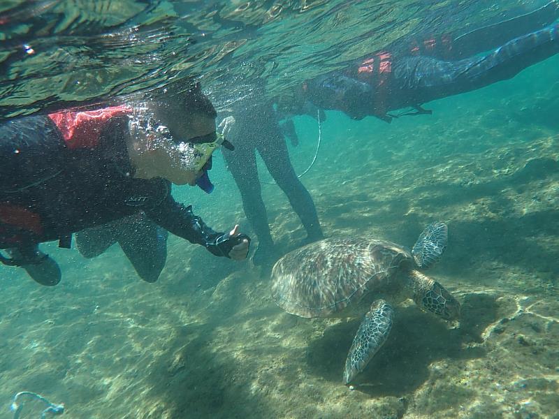 「屏東聯誼好幸福，單身男女攜手優游愛情海」