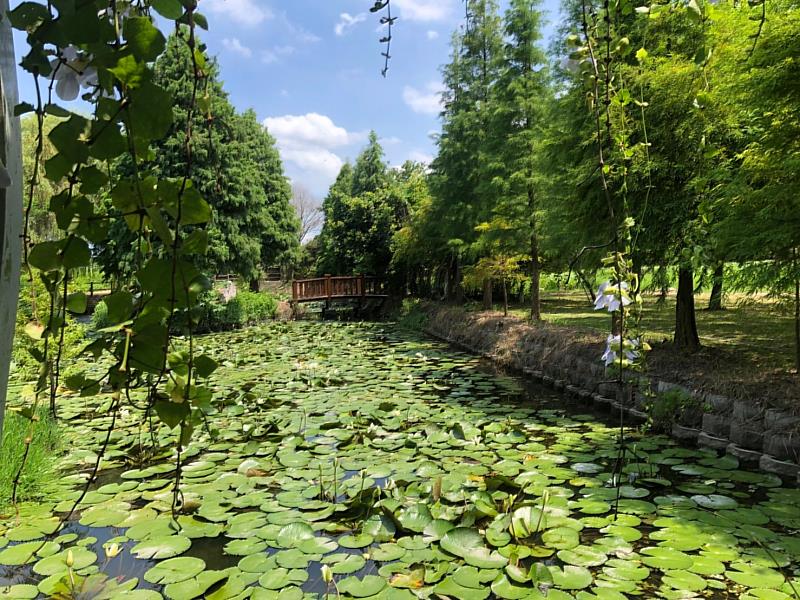 四芳社區生態池