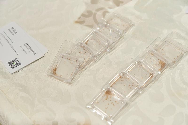 樸農生技的透明包材，讓農民可透過容器確認昆蟲的狀態