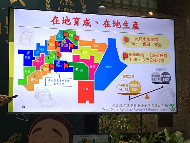 超口感米食強勢登場 水稻新品種「臺南20號」 -3