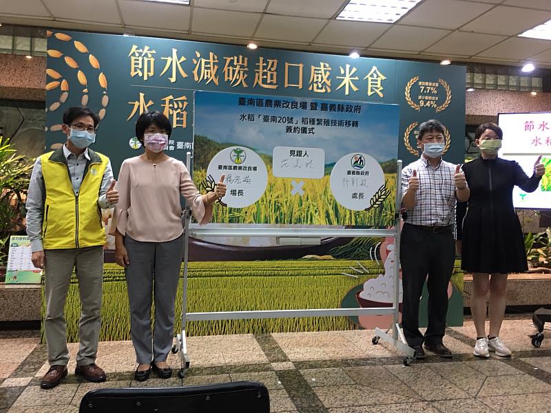 超口感米食強勢登場 水稻新品種「臺南20號」 -2