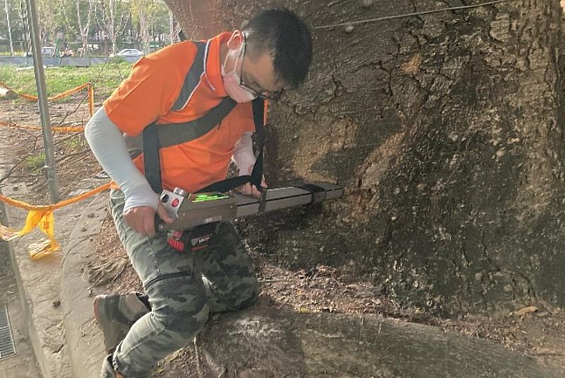 阻抗儀是由阻力換算得知木材硬度，來瞭解內部木材密度與腐朽的實際情形