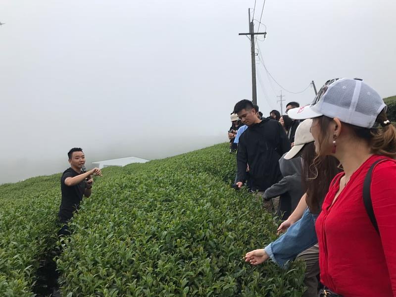 嘉義縣青創補助獎勵 助梅山茶產業升級轉型  -5