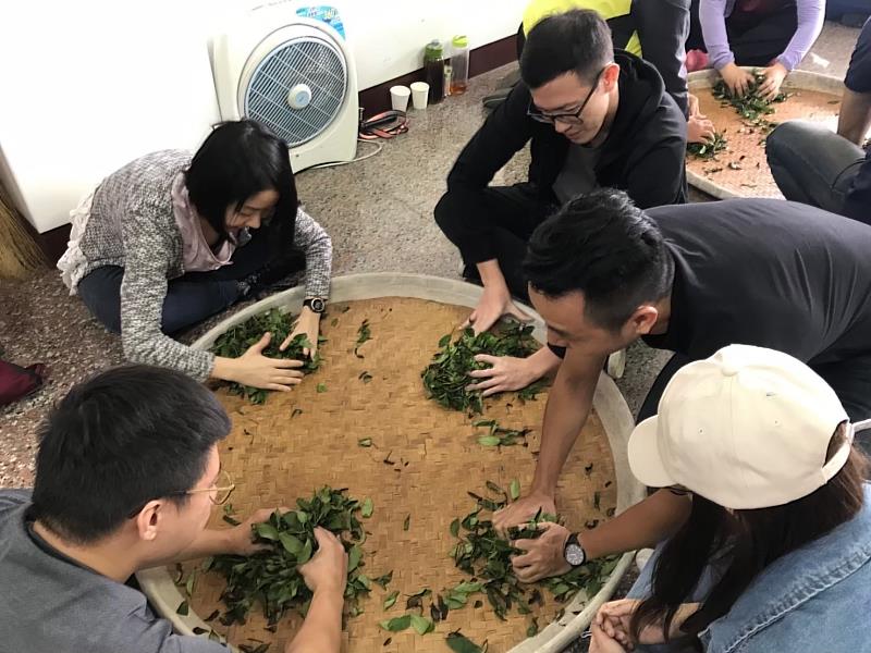 嘉義縣青創補助獎勵 助梅山茶產業升級轉型  -4