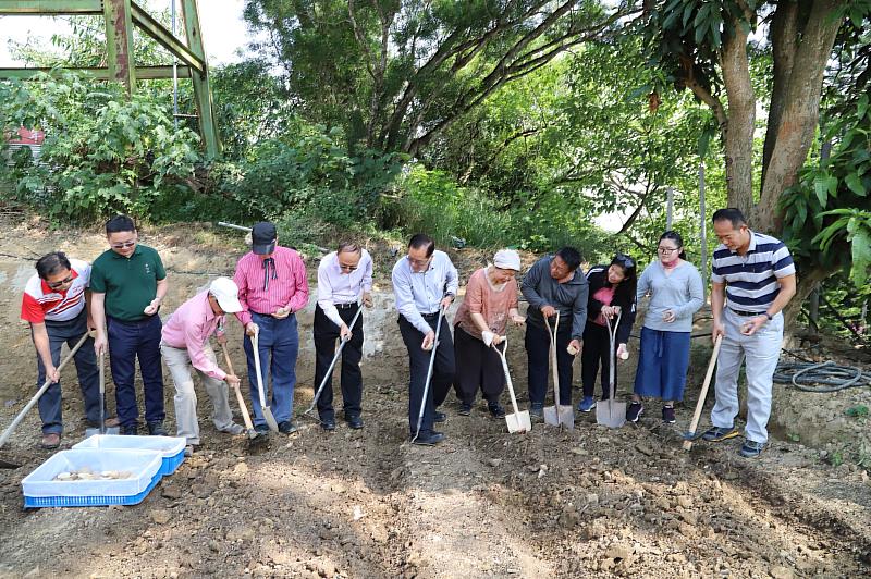 南華大學推展永續農業，應用創新科技促進坡地水土保持，進行馬鈴薯種植試驗。