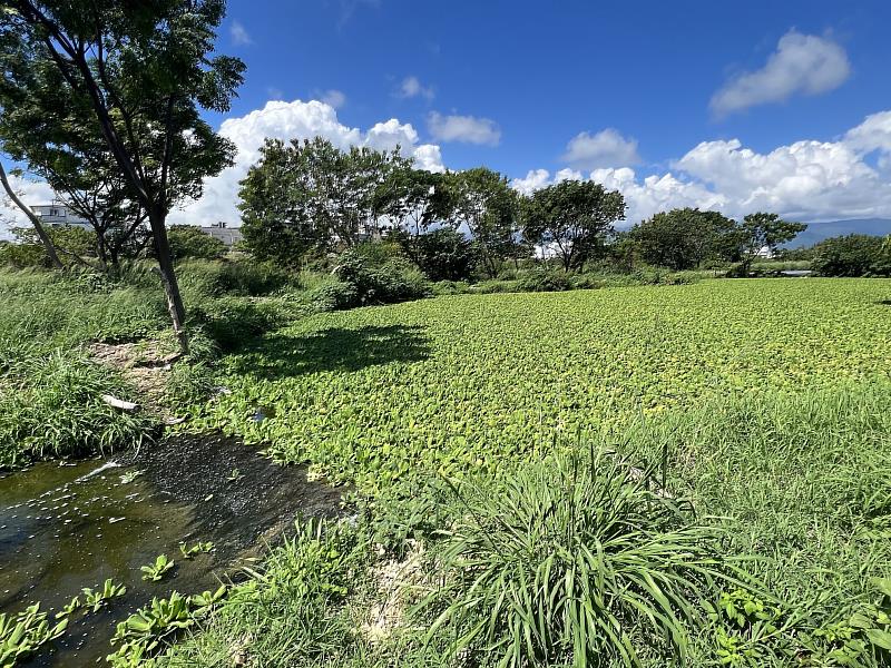 臺東縣榮獲低碳永續家園縣市銀級評等認證  邁向淨零永續城市