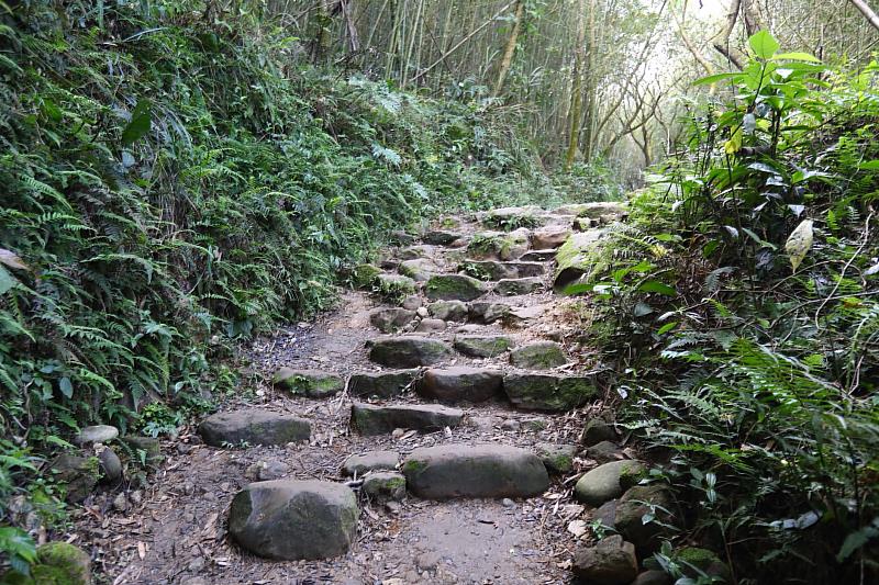 關子嶺大凍山步道採取手作步道自然工法整建