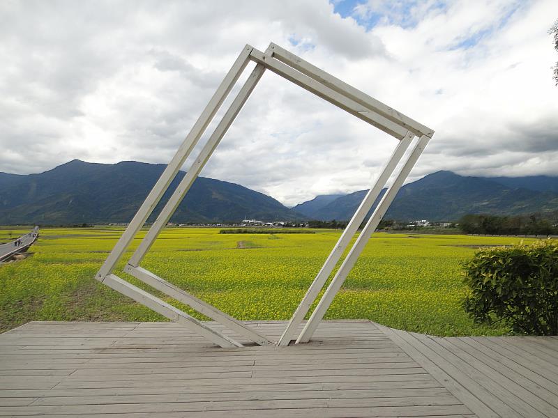 池上花海美景如畫