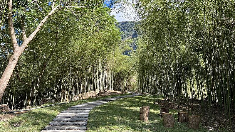 絕美竹林與手作步道