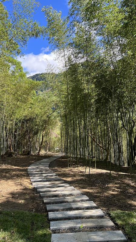 絕美竹林與手作步道