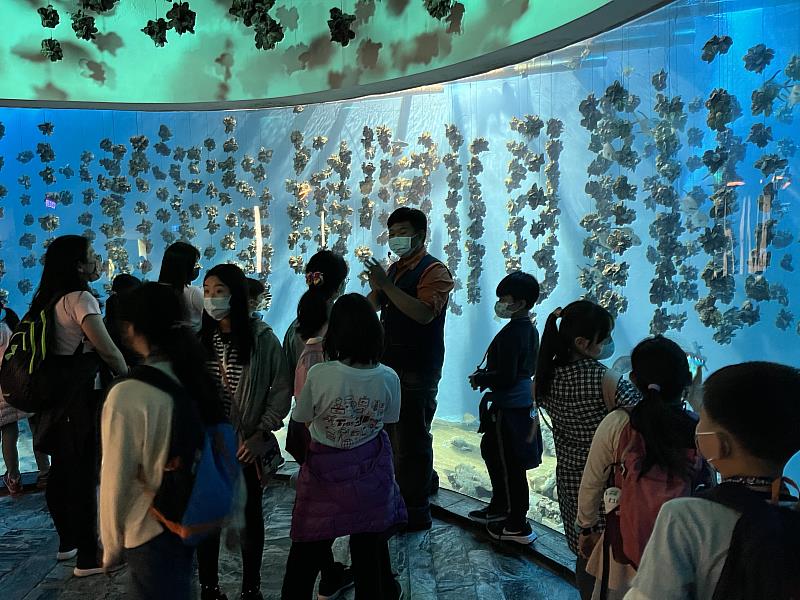 救國團推出與魚共舞共眠 暢遊海底世界