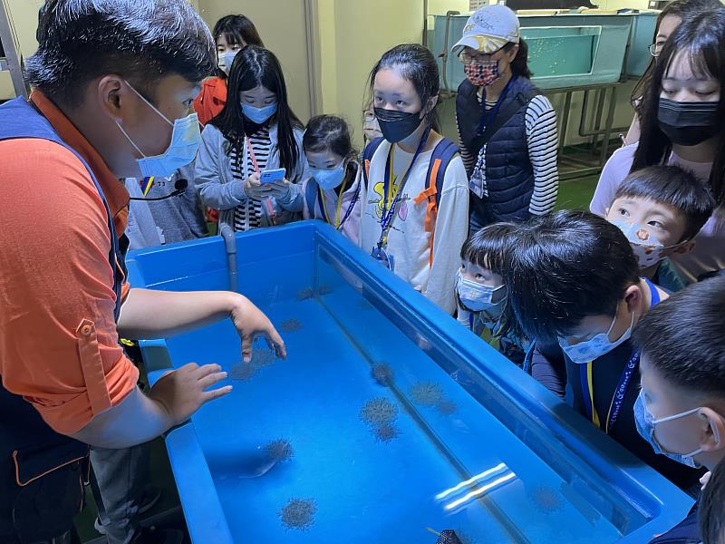 救國團推出與魚共舞共眠 暢遊海底世界